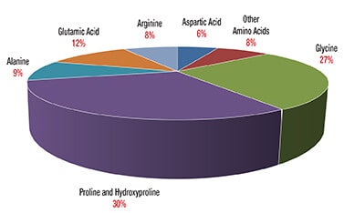 Proteing Glue Chart