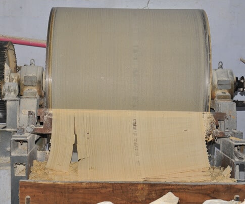 Quality Glue Factory